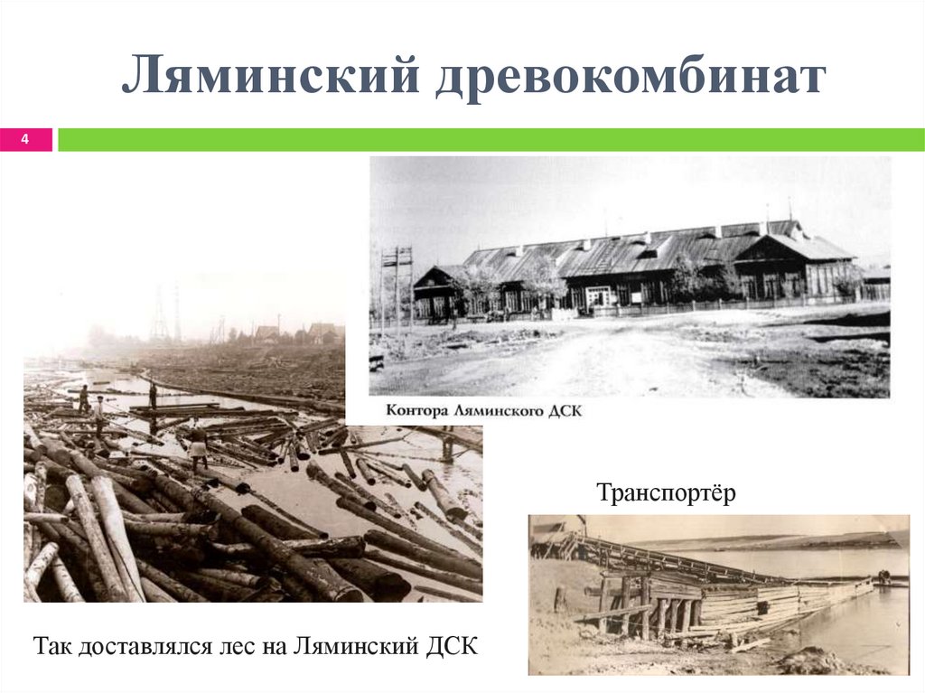 Ляминский древокомбинат