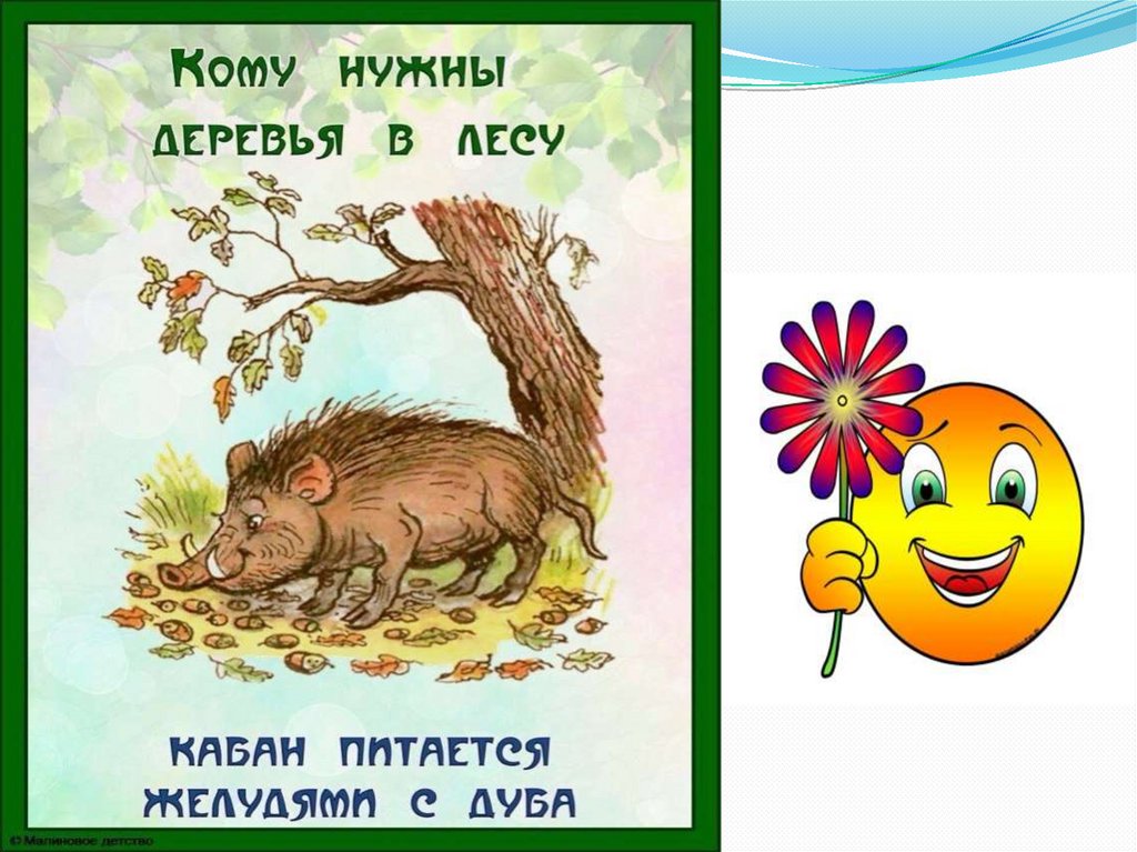 Для чего нужны деревья