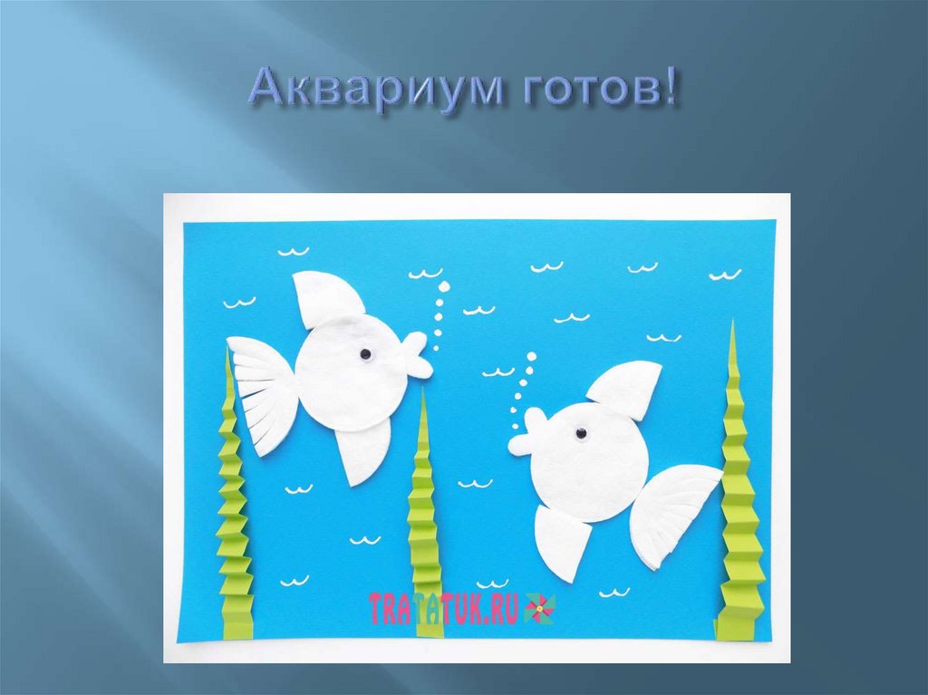 Аквариум готов!