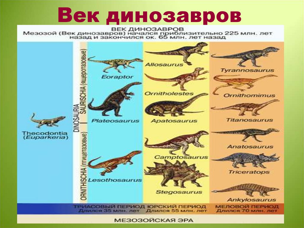 Отметь на схеме промежуток времени в течение которого на земле обитали динозавры