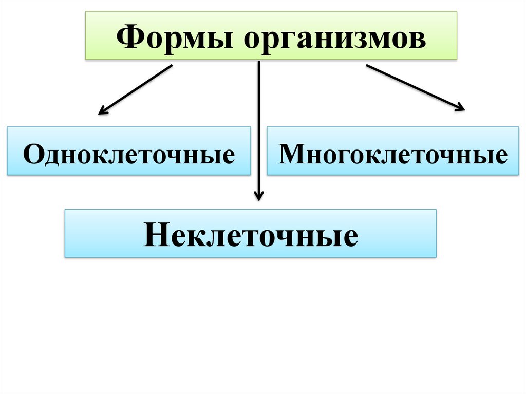 Форма биология. Одноклеточные многоклеточные неклеточные. Одноклеточные многоклеточные и неклеточные организмы. Формы организмов. Одноклеточный организм форма.