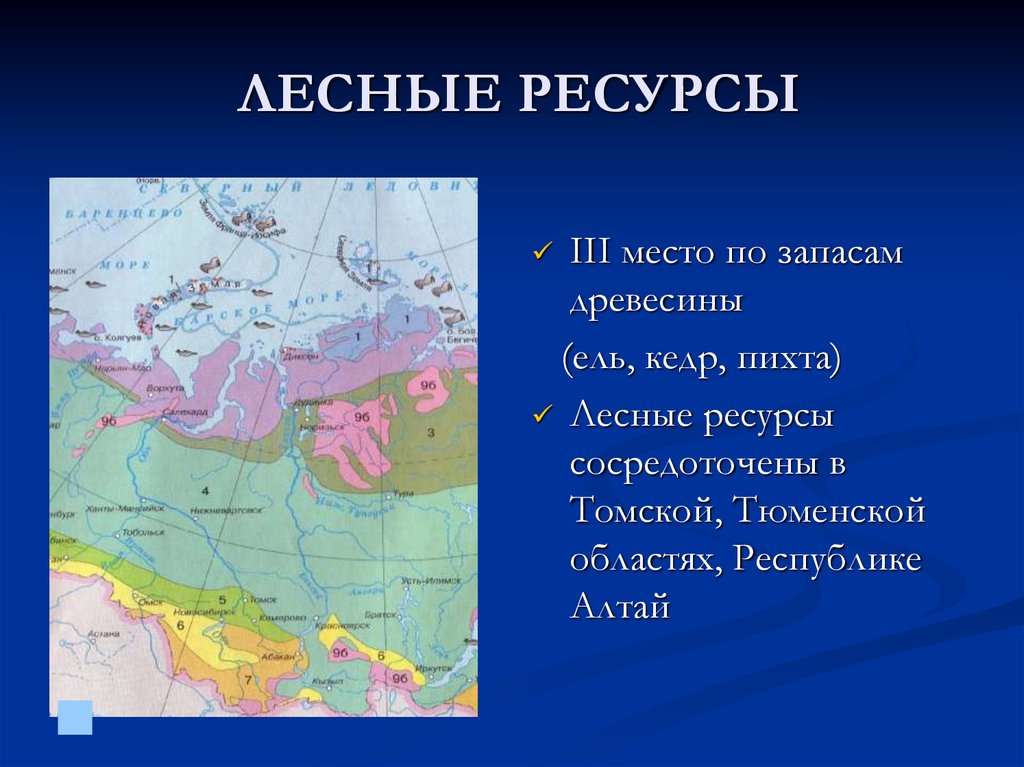 Природные условия и ресурсы западной сибири. Лесные ресурсы Сибири. Лесные ресурсы Западной Сибири. Лесные ресурсы Западной Сибири кратко. Лесные ресурсы Западной Сибири карта.