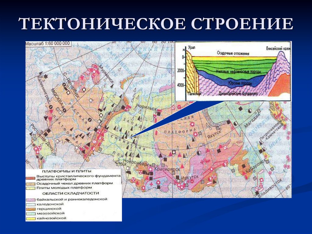 Тектоническое строение западно сибирской равнины 8 класс. Тектоническое строение. Тиктониническое строение. Тектоническая карта. Строение тектонических структур.