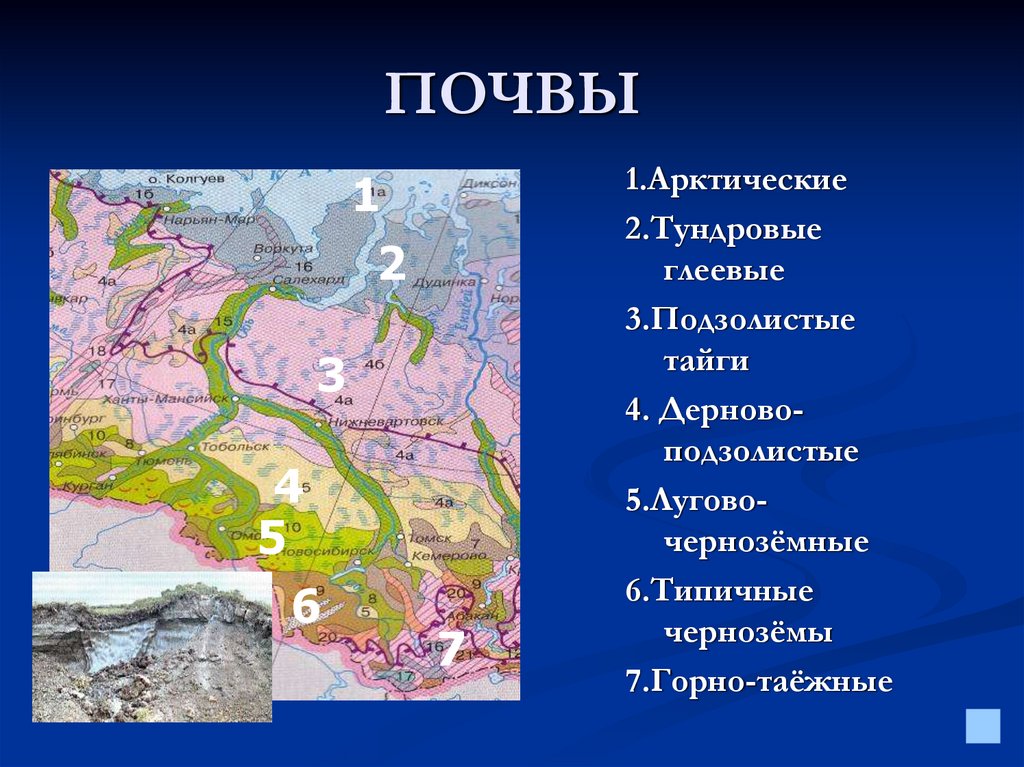 Почвы равнин. Почвы Северо Восточной Сибири. Почвенные ресурсы Западной Сибири. Почвы Восточной Сибири карта. Карта почв Западной Сибири.