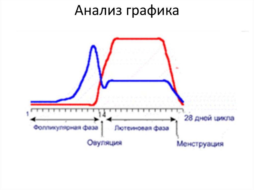 Анализ графика