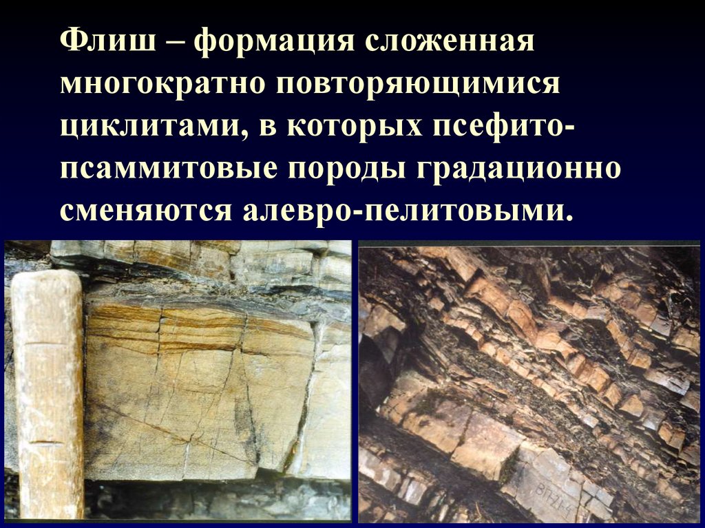 Флиш – формация сложенная многократно повторяющимися циклитами, в которых псефито-псаммитовые породы градационно сменяются