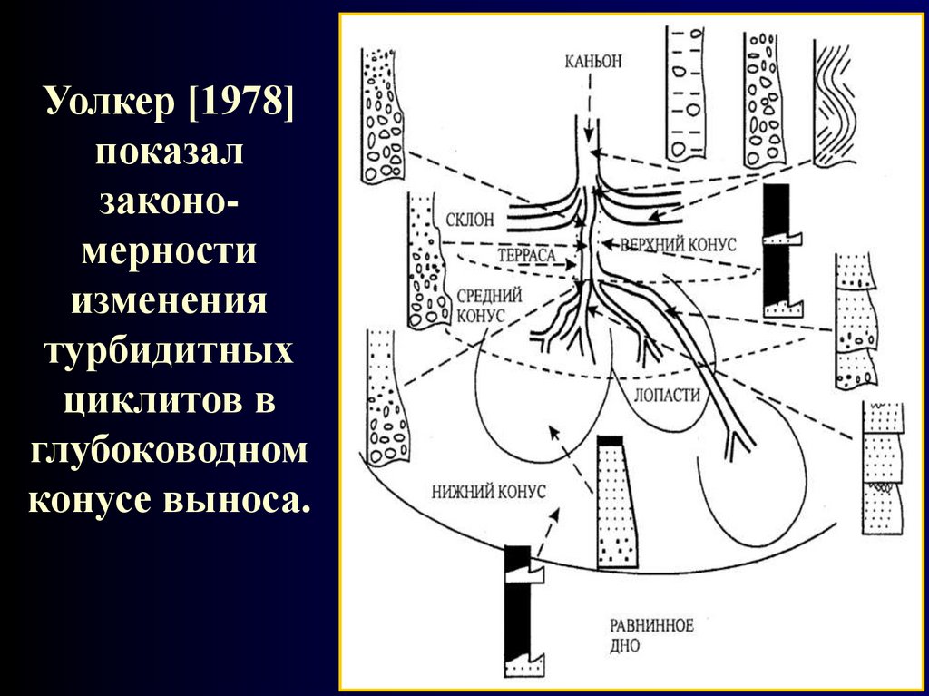 Уолкер [1978] показал законо-мерности изменения турбидитных циклитов в глубоководном конусе выноса.