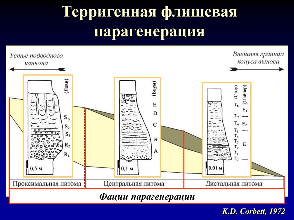 Терригенная флишевая парагенерация