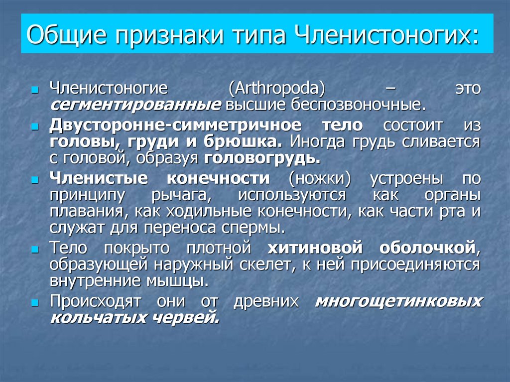 Главным систематическим признаком членистоногих. Признаки членистоногих. Признаки типа Членистоногие. Характерные признаки членистоногих. Какие признаки характерны для членистоногих.