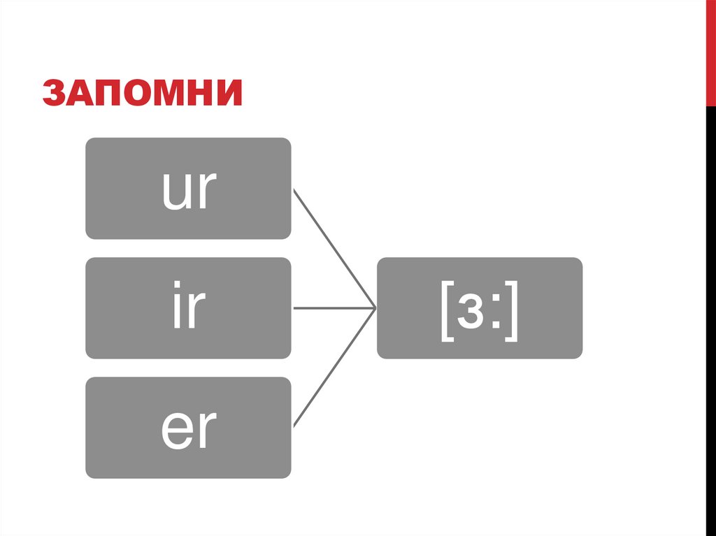 Заверши эти фразы по образцу they