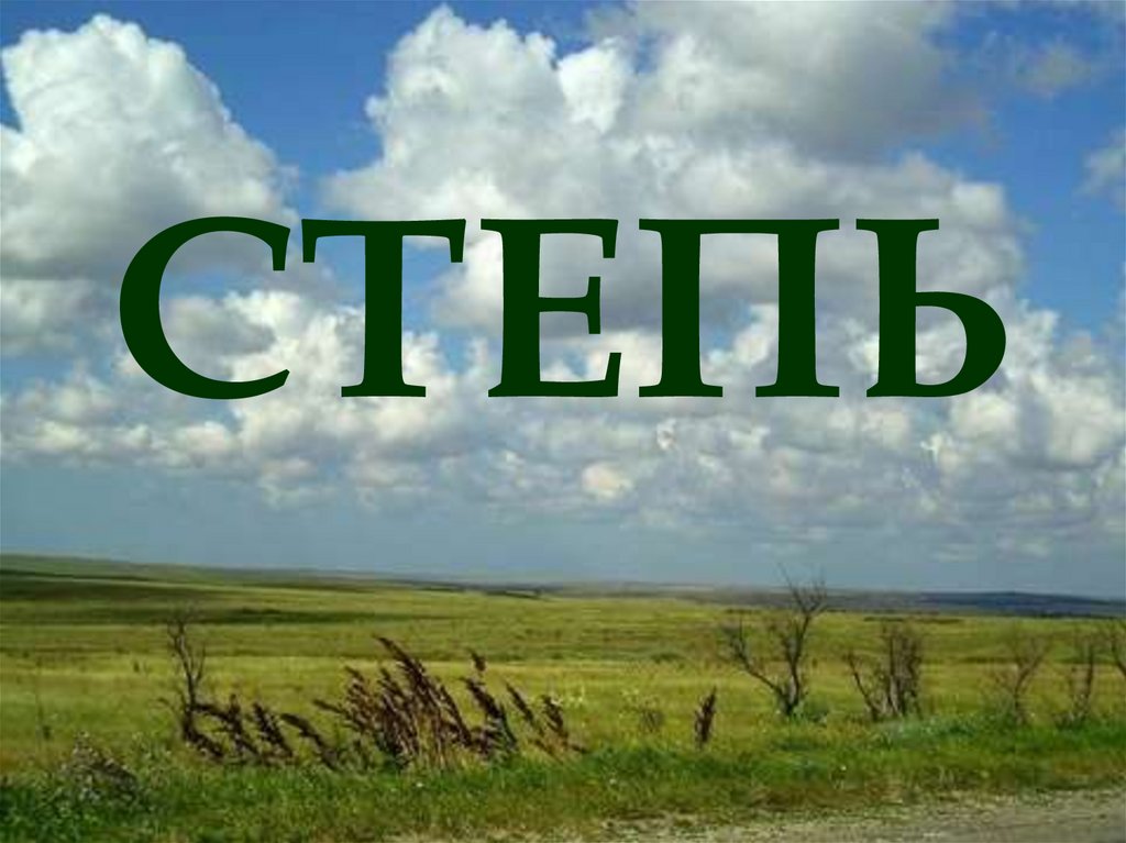 Урок окружающий мир 4 класс. Что такое степь 4 класс. Степь надпись. Степь презентация 4 класс. Степи 4 класс окружающий мир.