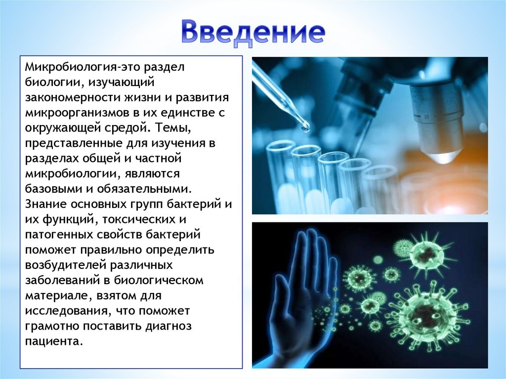 Тема представлена. Микробиология. Презентация по микробиологии. Микробиология презентация. Микробиология раздел биологии.