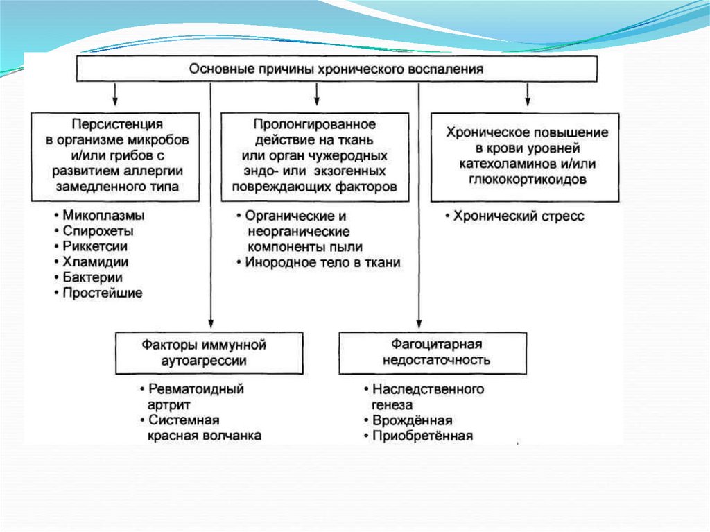 Хроническое воспаление презентация