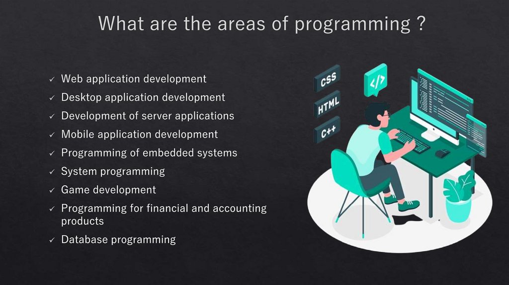 What are the areas of programming ?