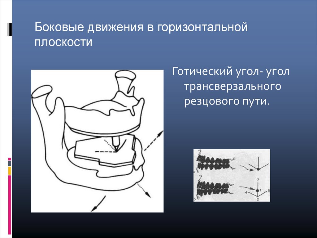 Движение в горизонтальной плоскости. Угол трансверзального резцового пути. Трансверзальный суставной путь. Угол трансверзального резцового пути Готический угол. Угол трансверзального суставного пути угол Беннета.