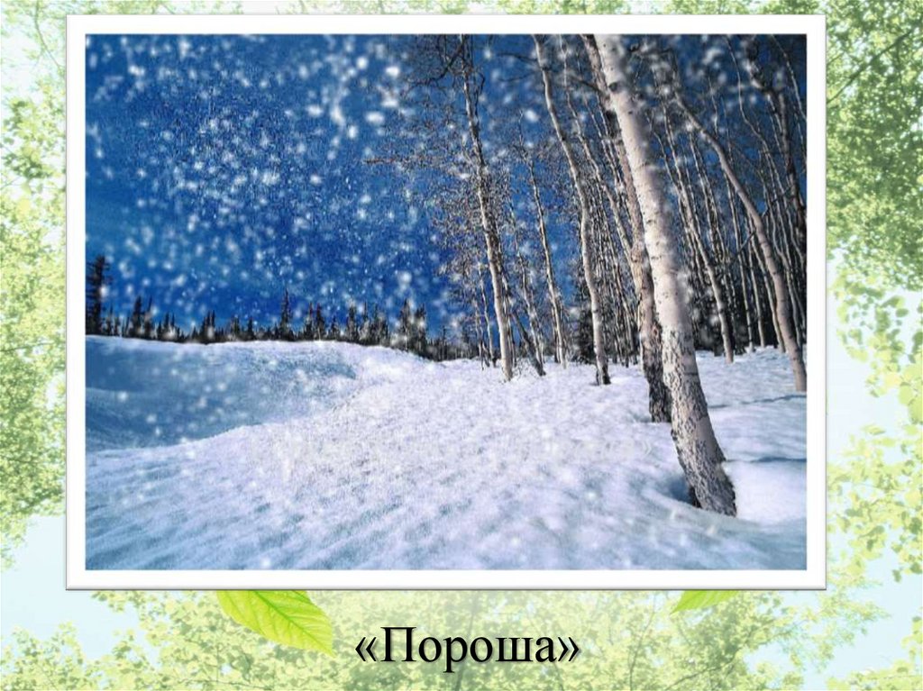 Е Д У Т И Х О