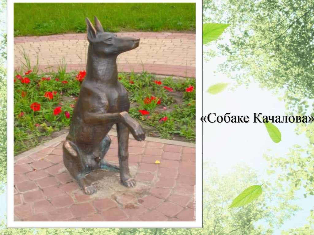 Л А П У М Н Е