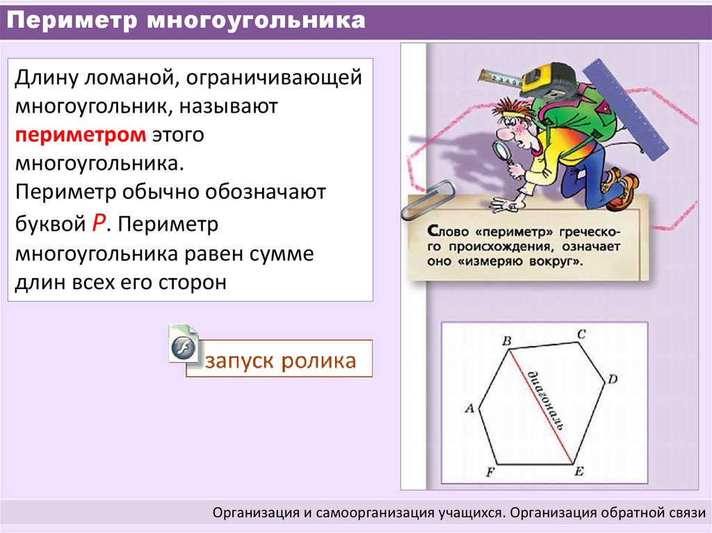 Математика 5 класс многоугольники презентация