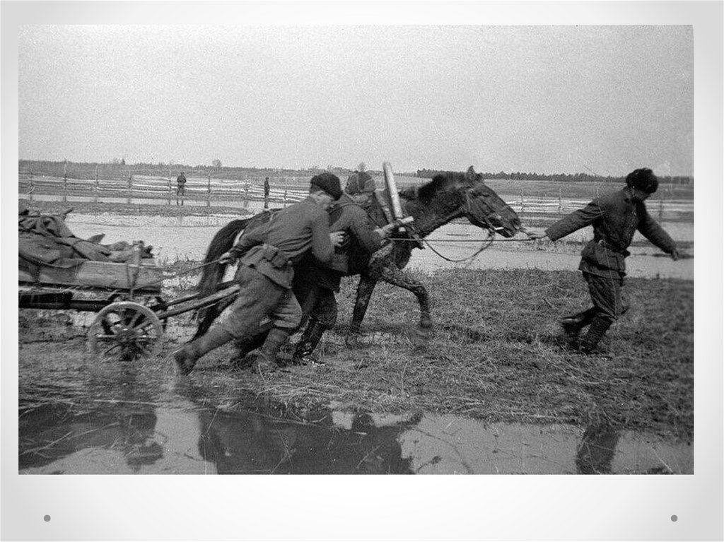 Лошади во время великой отечественной войны презентация