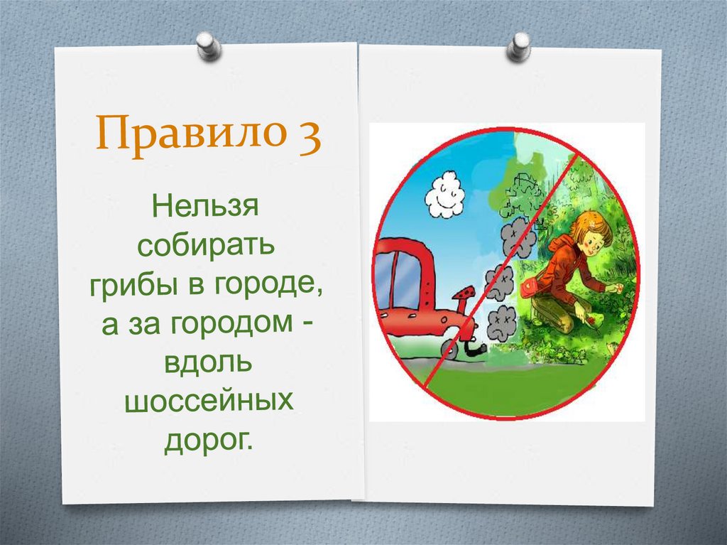 Знак нельзя собирать грибы. Нельзя собирать грибы вблизи дорог. Правила грибника. Почему нельзя собирать грибы у дороги. Почему нельзя собирать грибы ягоды вдоль автодорог.