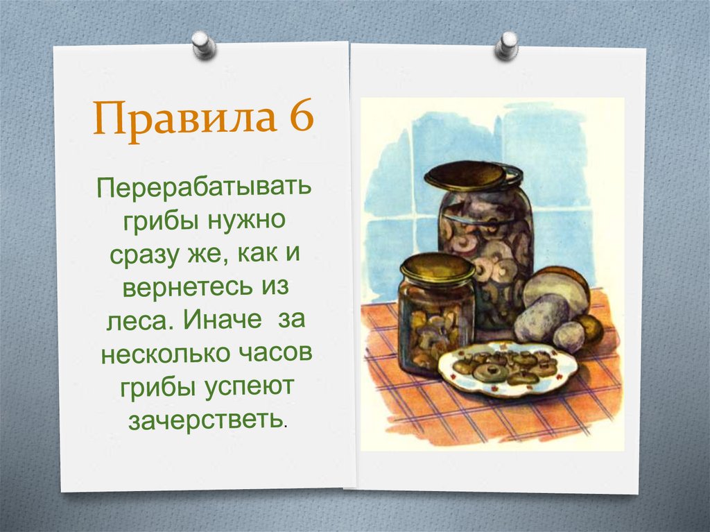 Какое главное правило грибников нарушил витя ответ. Памятка грибника. Переработанные грибы.