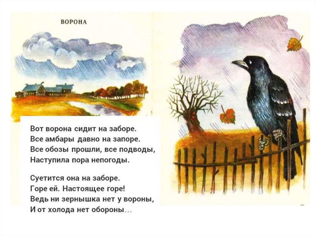 Стихотворение н. Николай рубцов стихи. Стихотворение Николая Рубцова ворона.