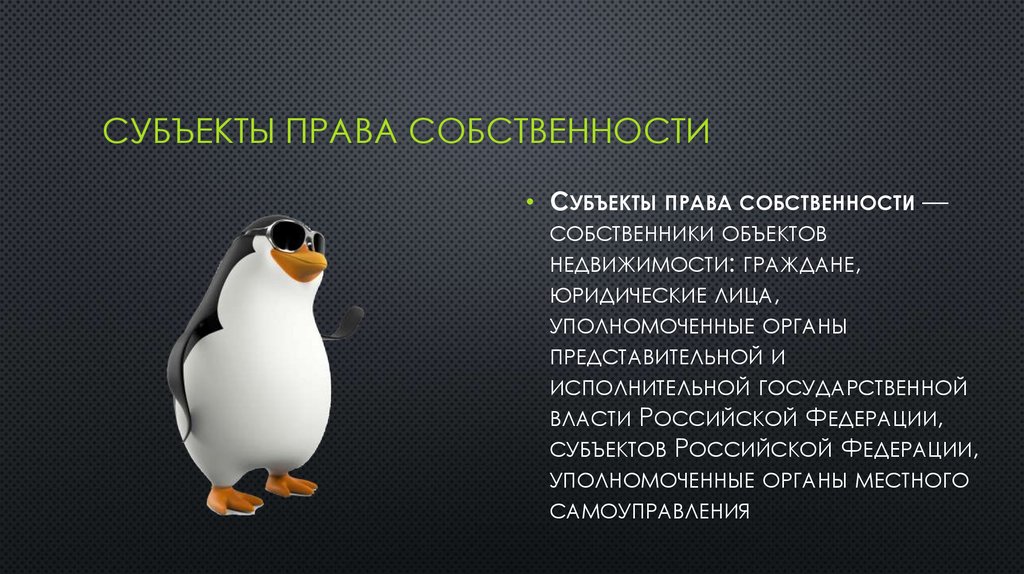 субЪекты права собственности