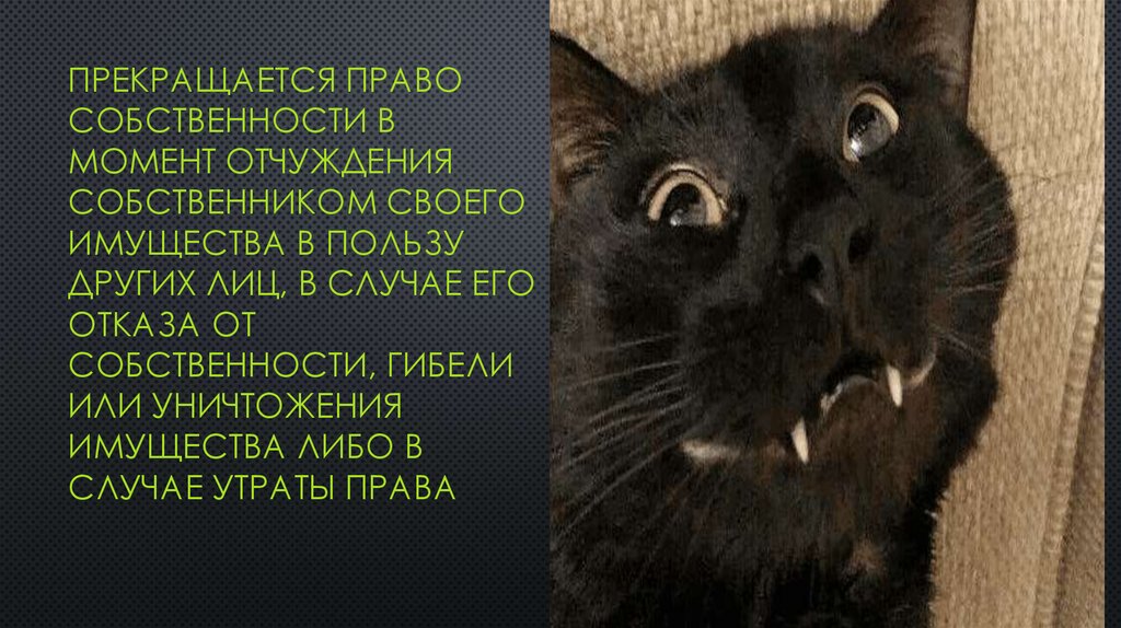 Прекращается право собственности в момент отчуждения собственником своего имущества в пользу других лиц, в случае его отказа от