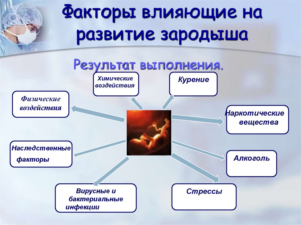 Развитие после рождения 8 класс биология презентация