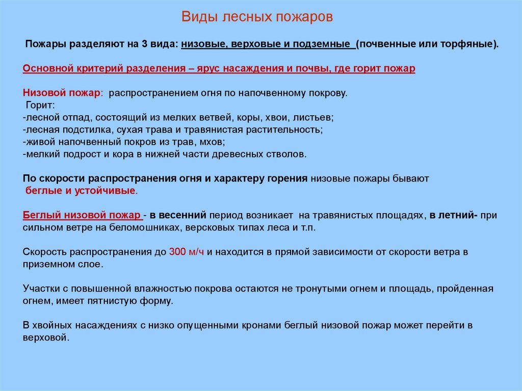 Виды лесных пожаров действия при лесном пожаре