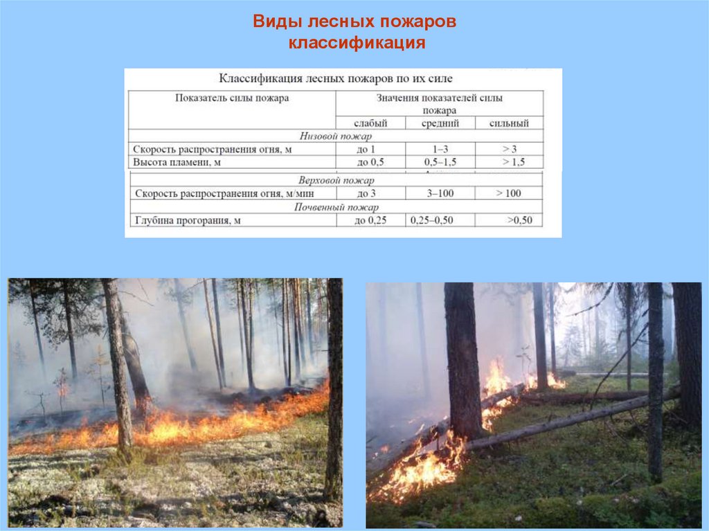 Верховые пожары распространяются. Классификация лесных пожаров. Скорость лесного пожара.