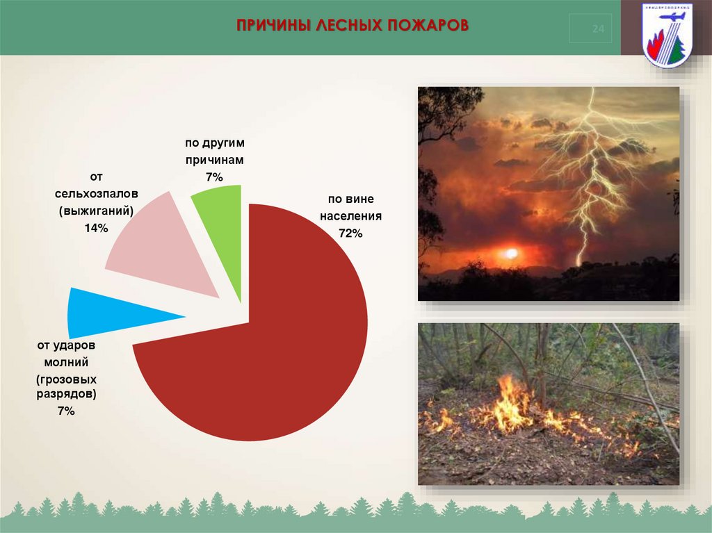 Каковы основные причины лесных пожаров. Причины лесных пожаров. Причины возникновения лесных пожаров. Основные причины лесных пожаров. Основные причины возникновения лесных пожаров.