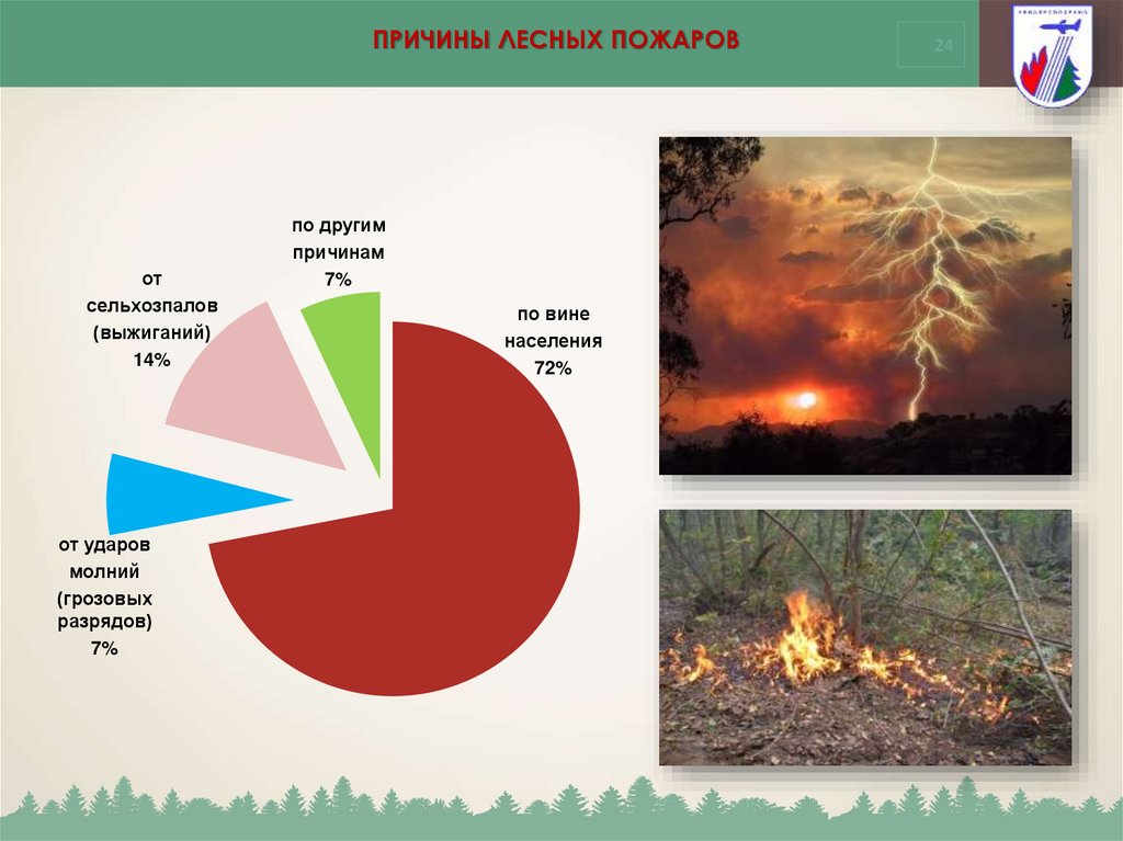 Лесные пожары доклад. Причины лесных пожаров. Основные причины лесных пожаров. Лесные горючие материалы. Причины лесных пожаров статистика.