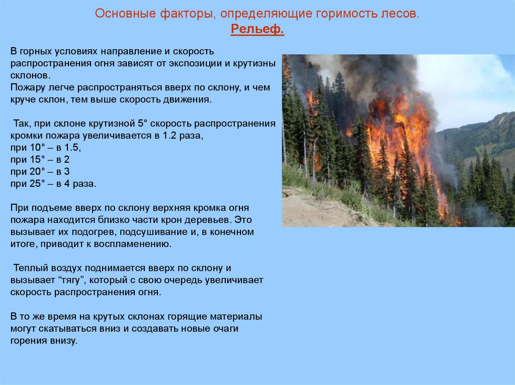 Горимость лесов. Лесные горючие материалы. Классификация лесных пожаров.