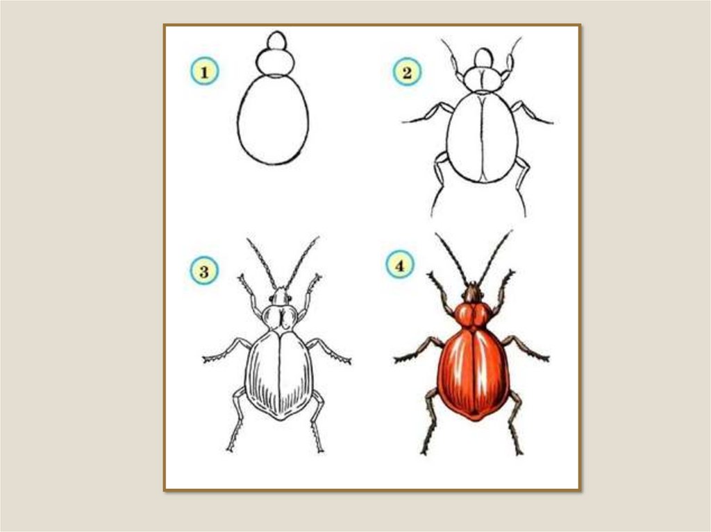 Изо презентация 1 класс разноцветные жуки поэтапное рисование