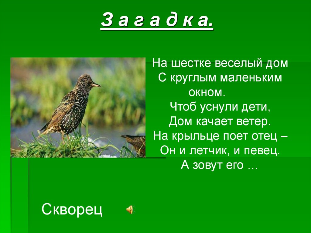 Белов скворцы презентация к уроку в 5 классе