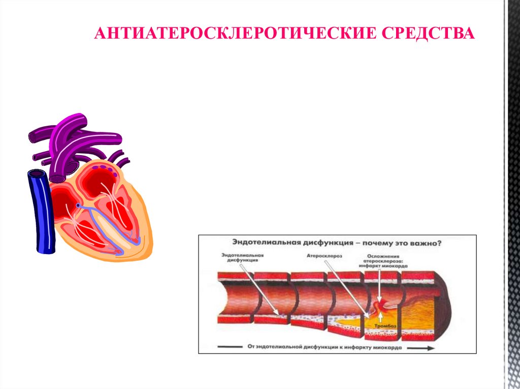 Периферическое кровообращение. Антиатеросклеротические. Антиатеросклеротические это. Антисклеротические средства. Центральное и периферическое кровообращение.