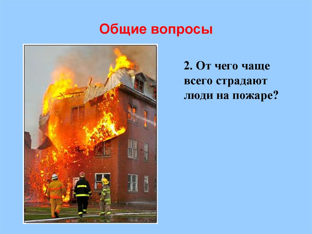 Общие вопросы