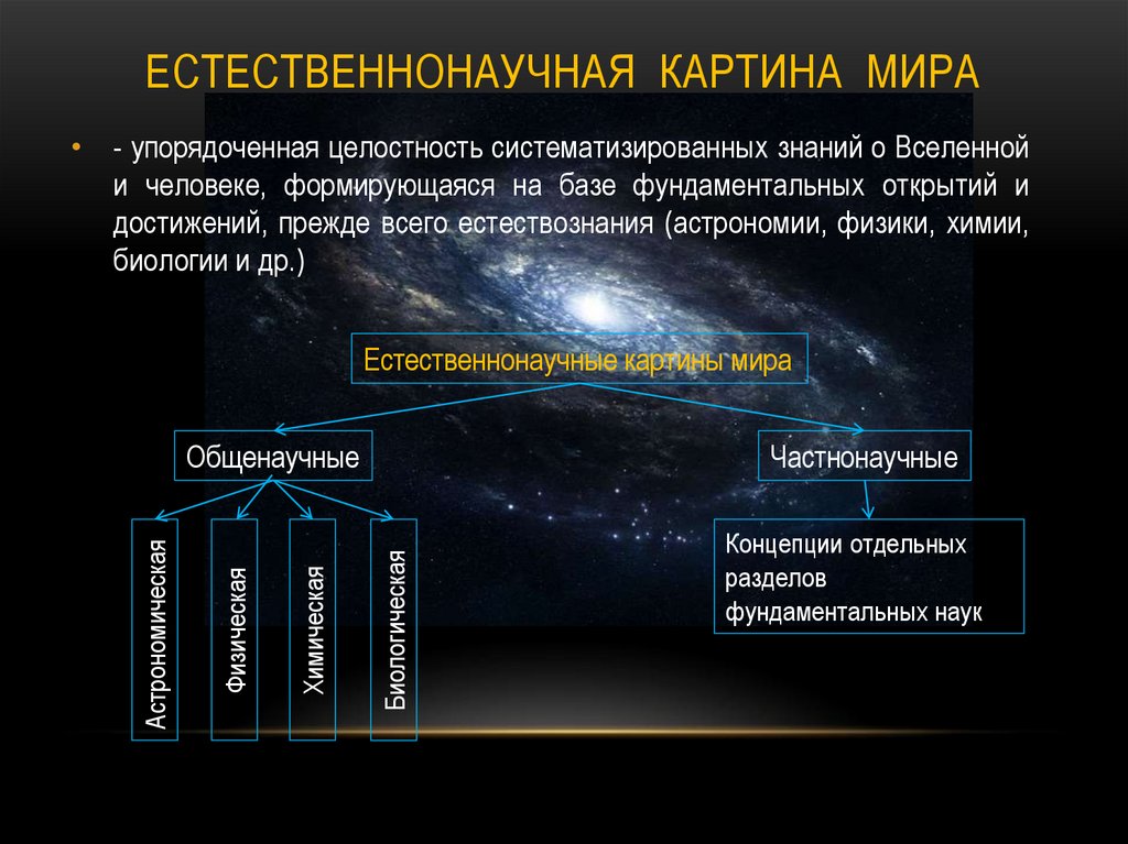 Среди научных картин мира только в механической картине мира существовали представления о об