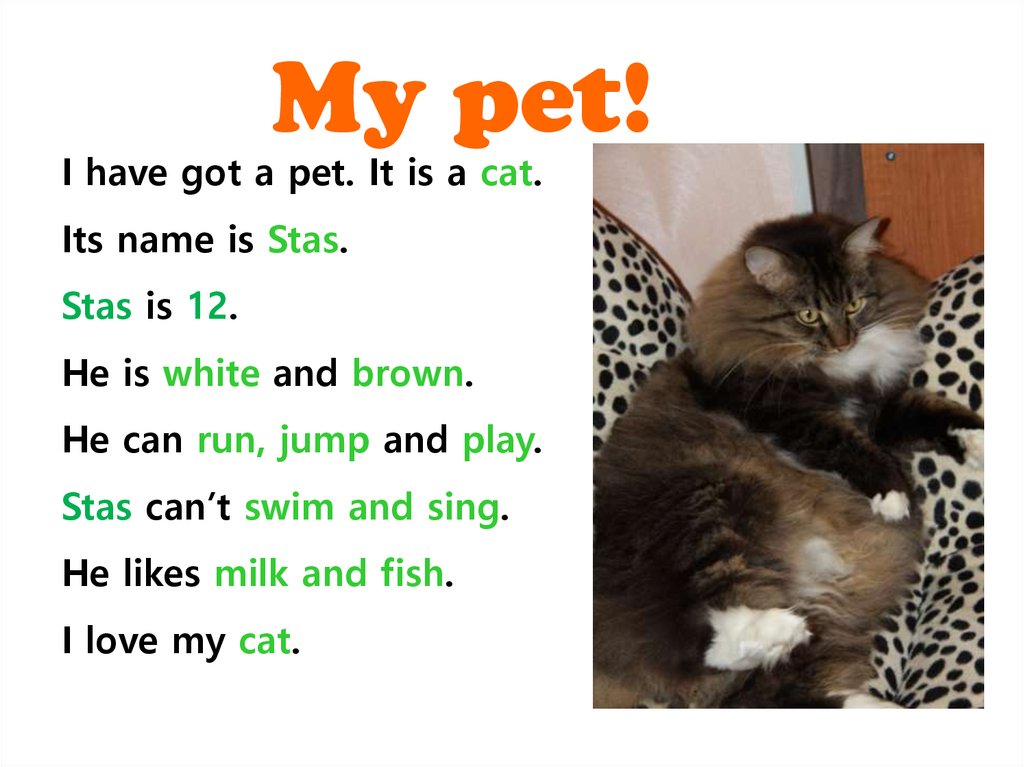 Презентация my Pets. Английский язык my Pet. Проект my Pet. My Pet 2 класс проект.