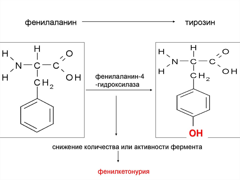 Тирозин структурная формула. Фенилаланин в тирозин. Фенилаланин формула структурная.