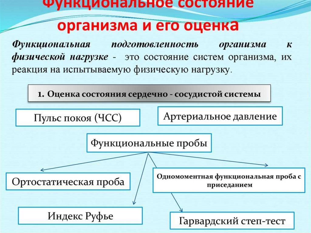 Функциональное состояние организма презентация