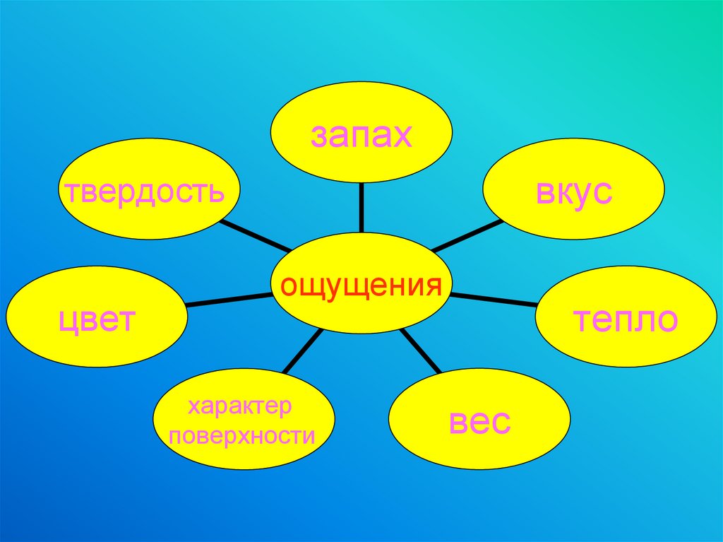 Ощущение 10. Презентация на тему ощущение по психологии. Ощущения картинки психология. Картинки на тему ощущение. Ощущение.