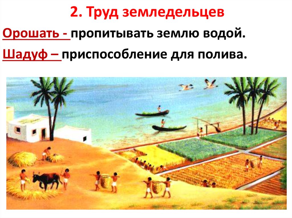 Почему в египте нельзя. Ирригационное земледелие в древнем Египте. Ирригационная система древнего Египта. Ирригация в древнем Египте.