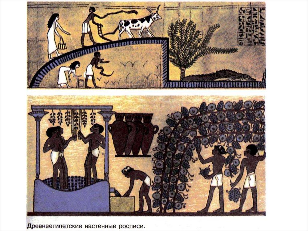 Земледельцы в древнем египте. Земледельцы и ремесленники в древнем Египте. Ремесленники древнего Египта. Земледелие в древнем Египте. Египетские земледельцы в древнем Египте.