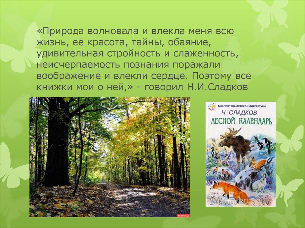 Рассказы н и сладкова лес не школа а всему учит презентация