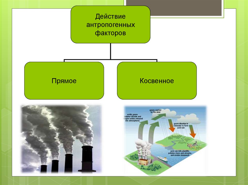 Антропогенное преобразование. Антропогенные экологические факторы. Антропогенные факторы окружающей среды. Экологические факторы среды. Антропогенные факторы влияющие на окружающую среду.