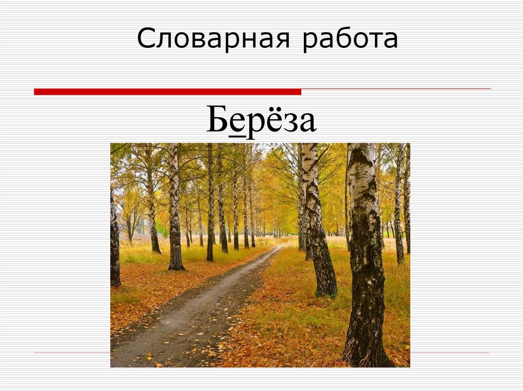 Словарная работа