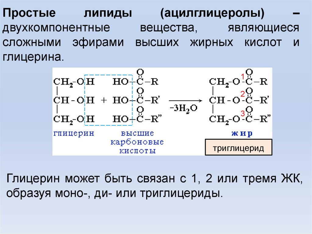 Состав жиров отражается схемой