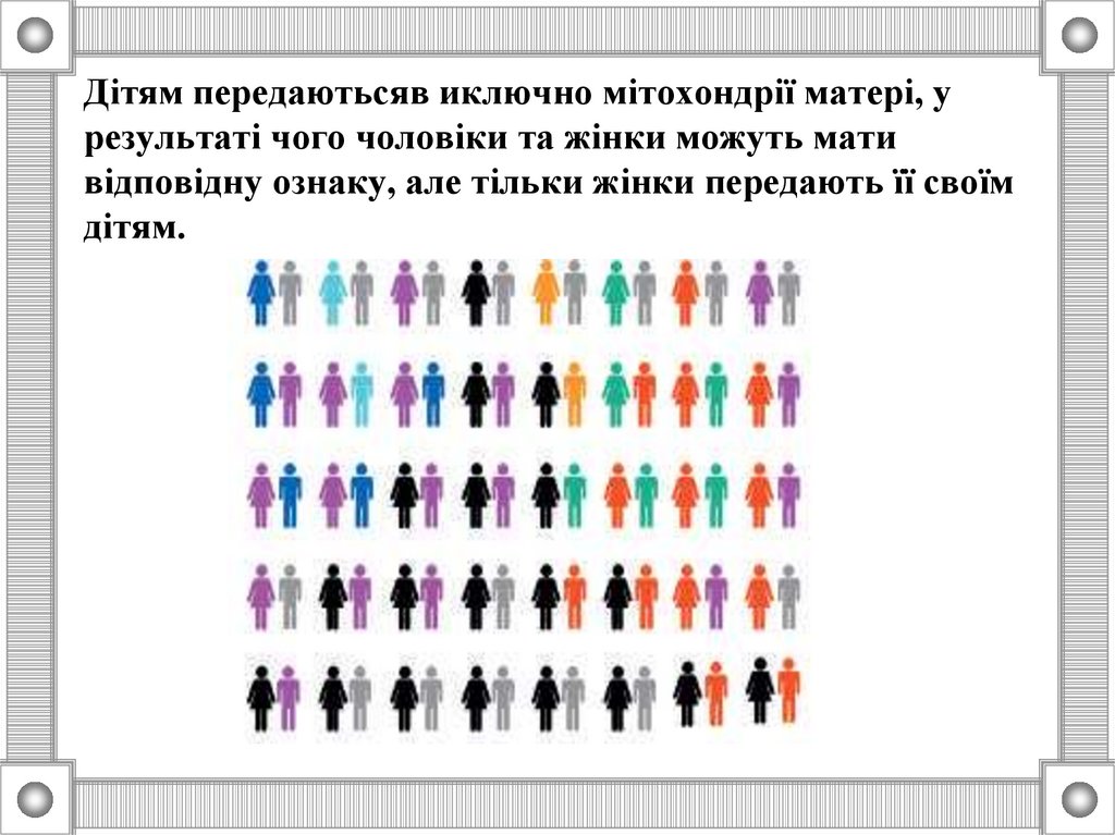 Дітям передаютьсяв иключно мітохондрії матері, у результаті чого чоловіки та жінки можуть мати відповідну ознаку, але тільки
